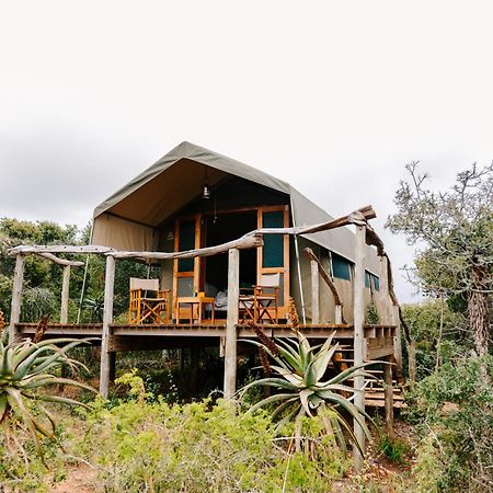 Woodbury Tented Camp - Amakhala Game Reserve Exterior foto