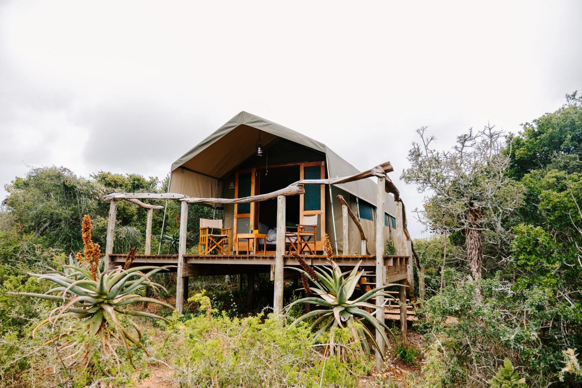 Woodbury Tented Camp - Amakhala Game Reserve Exterior foto